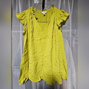 Terra & Sky Light Green Ruffle Sleeve Blouse